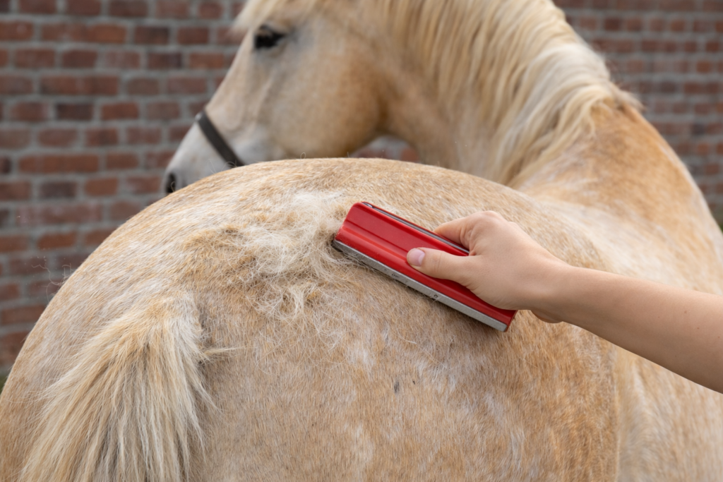 Brosse pour mue de cheval