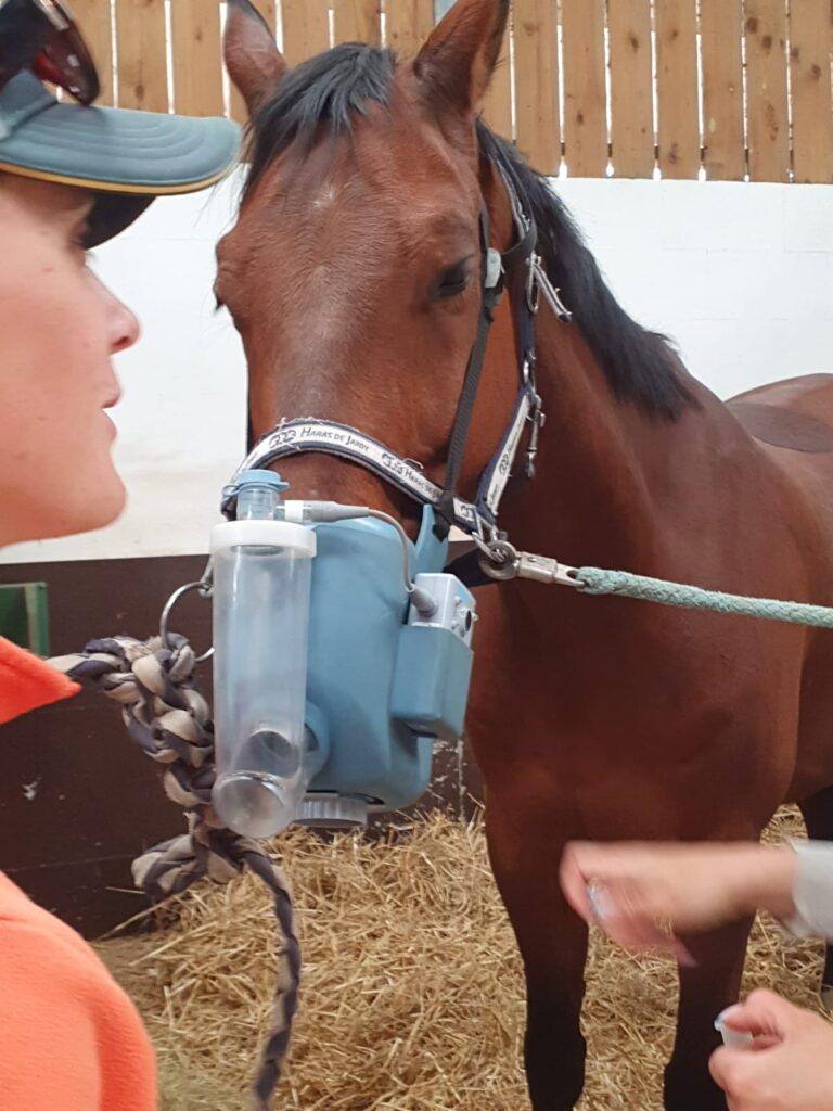 nébulisateur pour cheval