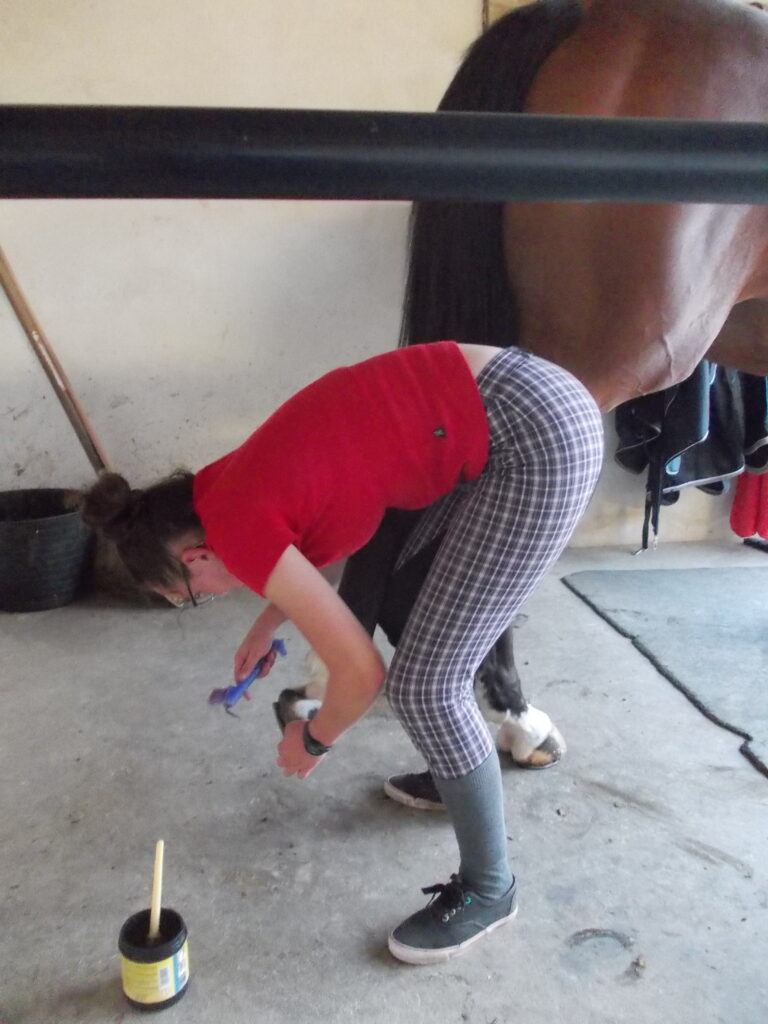 curage des pieds du cheval