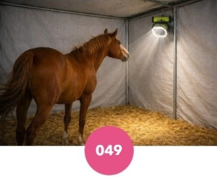 Ventilateur portable Ouwanch