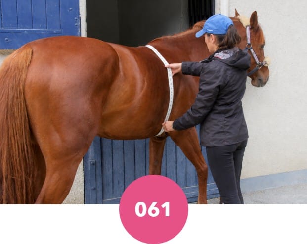 Ruban barymétrique Ycfish pour évaluer le poids d'un cheval