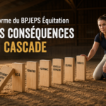 Bilan de la réforme du BPJEPS Équitation : les enseignements de la première année d&rsquo;application