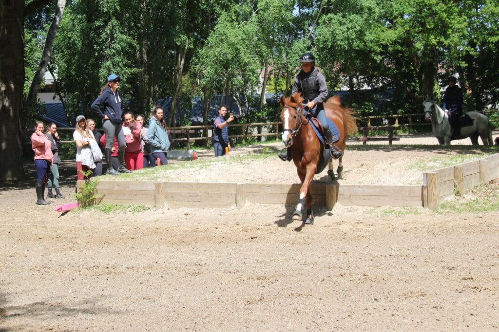 Cours de cross pour stagiaires BPJEPS équitation en centre de formation