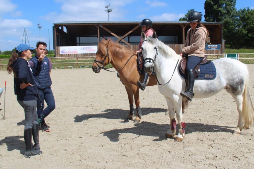 Débriefing d'un cours de pédagogie équestre en centre de formation