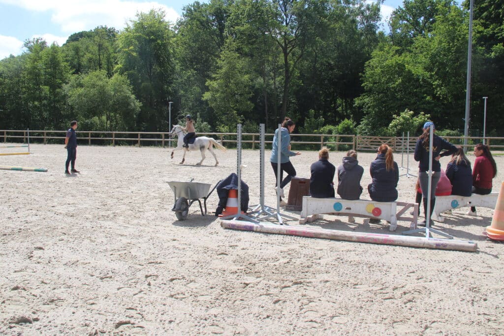 Séance pédagogique de BPJEPS équitation en centre de formation