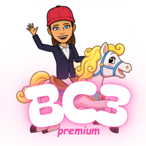 Accompagnement complet au BC3 du BPJEPS équitation