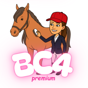 Accompagnement à l'examen du BC4 du BPJEPS équitation