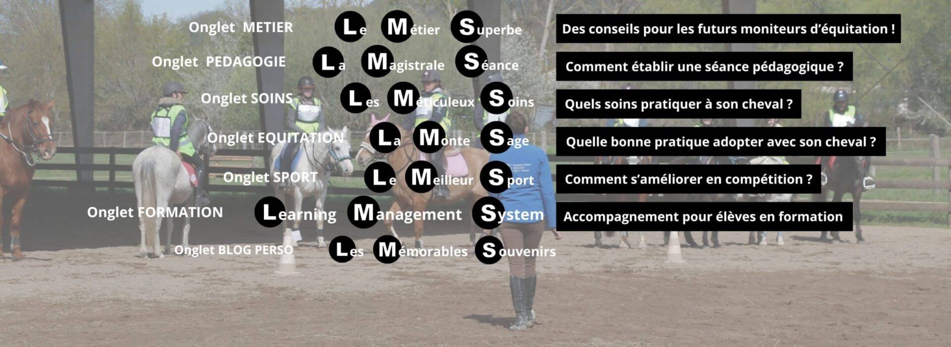 Bannière statique Team LMs