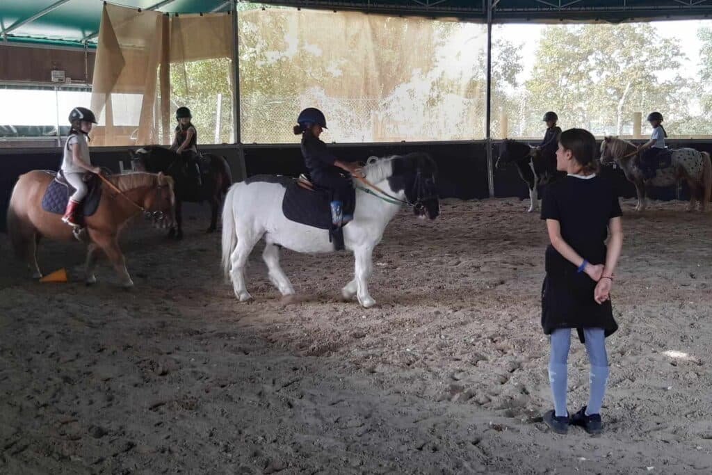 Cours poney shetland avec stagiaire BPJEPS.