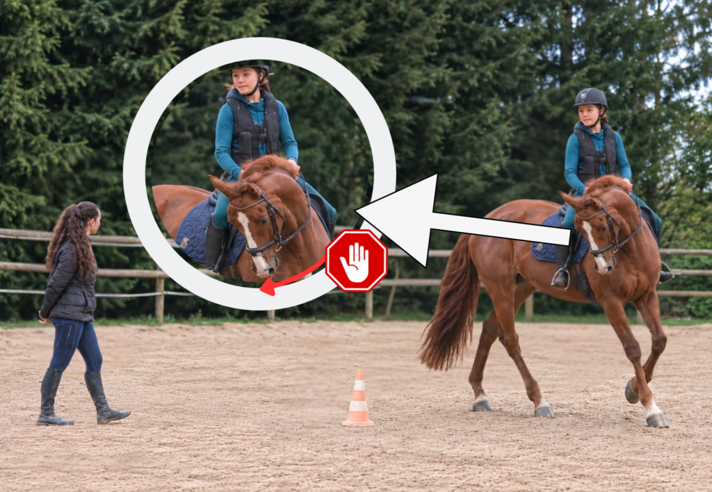 cheval présentant trop de pli dans l'incurvation